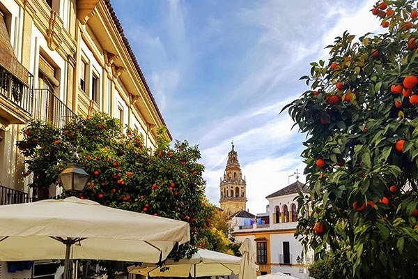 Barrio de Santa Cruz Seville Old Town Jewish quarter