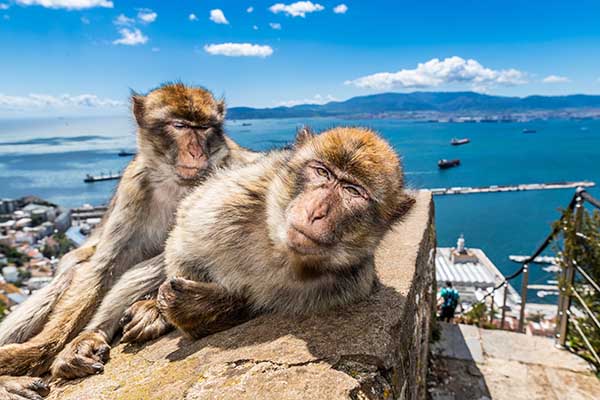 Rock of Gibraltar