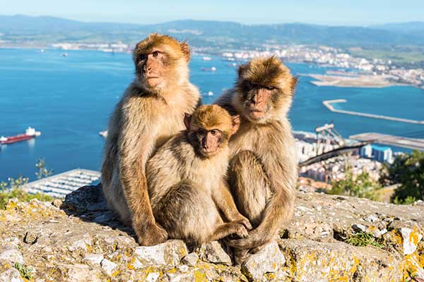 Best things to do in Gibraltar