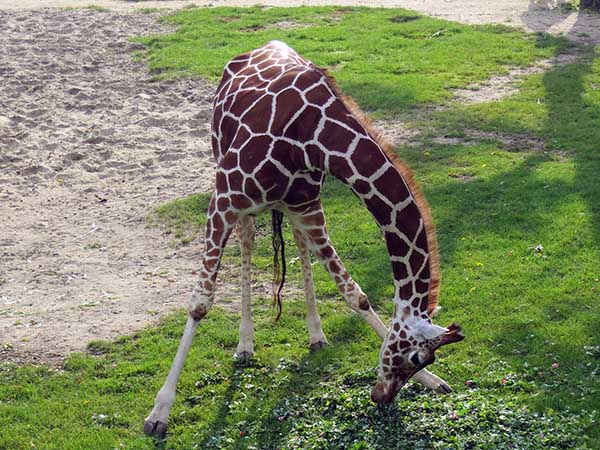 Things to see in Jerez