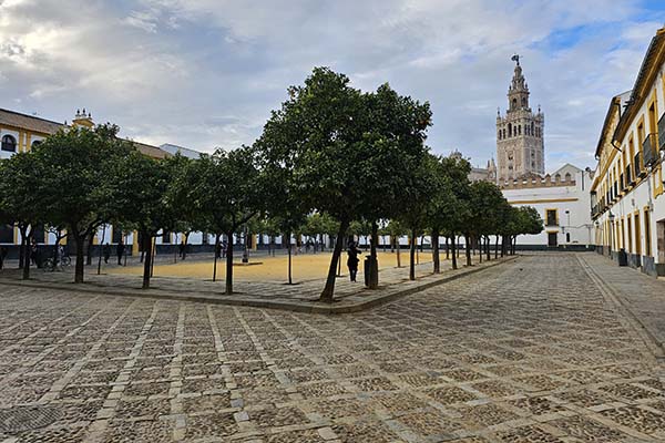 Santa Cruz neighborhood